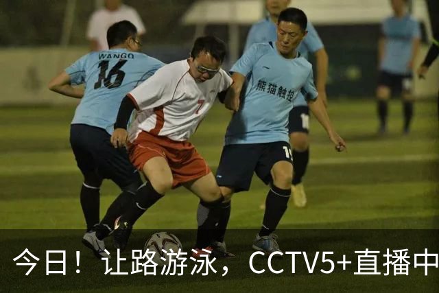 今日！让路游泳，CCTV5+直播中国男篮VS伊朗，郭士强率爱将胡明轩等CBA球员冲击亚运会铜牌