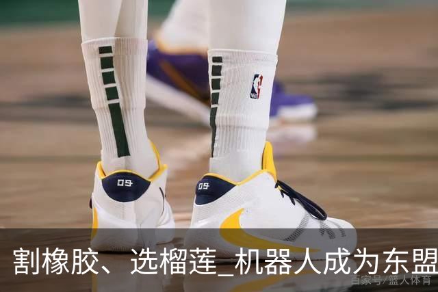割橡胶、选榴莲 机器人成为东盟市场“新宠” 各国释放明确需求信号